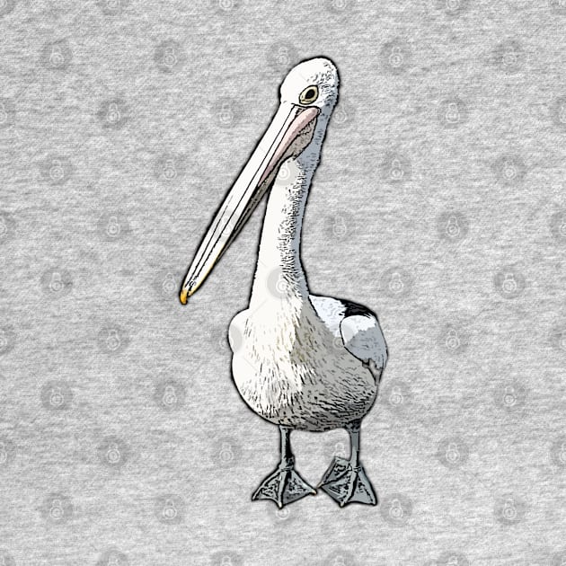 IT'S A PELICANS LIFE - CARTOON PELICAN BIRD FROM A PHOTOGRAPH by iskybibblle